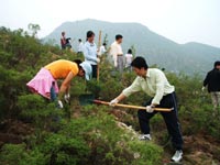 旺财28(中国)2007年度公益植树助学活动