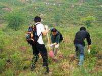 旺财28(中国)2007年度公益植树助学活动