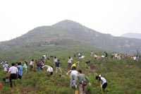 旺财28(中国)2007年度公益植树助学活动