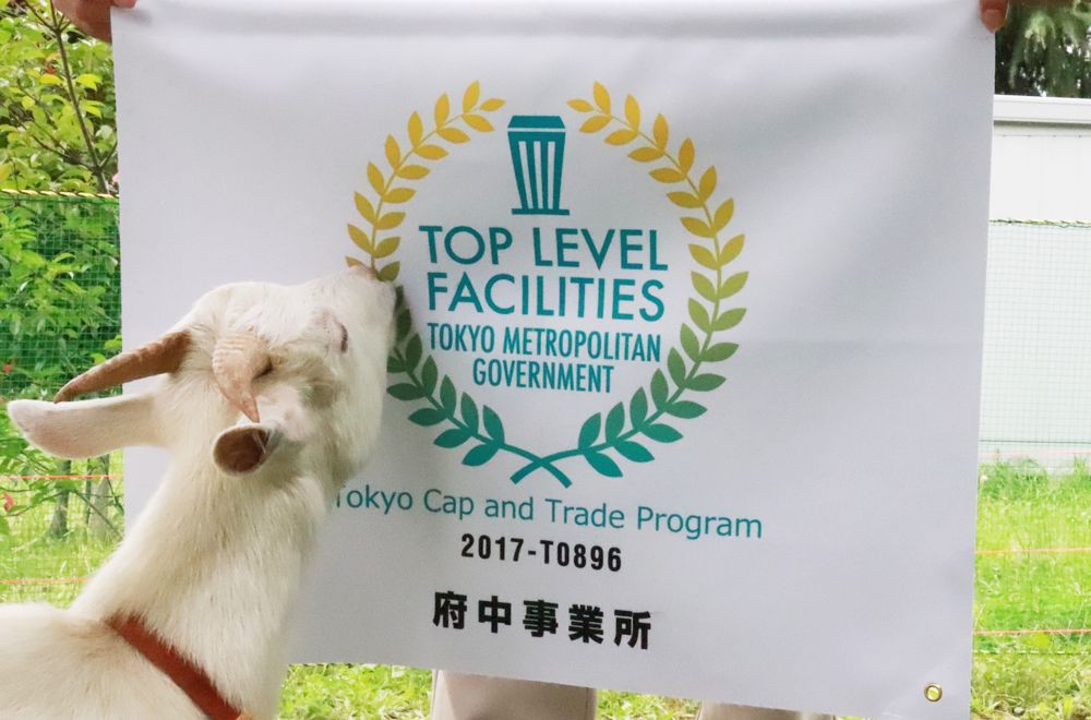 ѡTOP LEVELҵҿ28ҵʵԾٴ룡